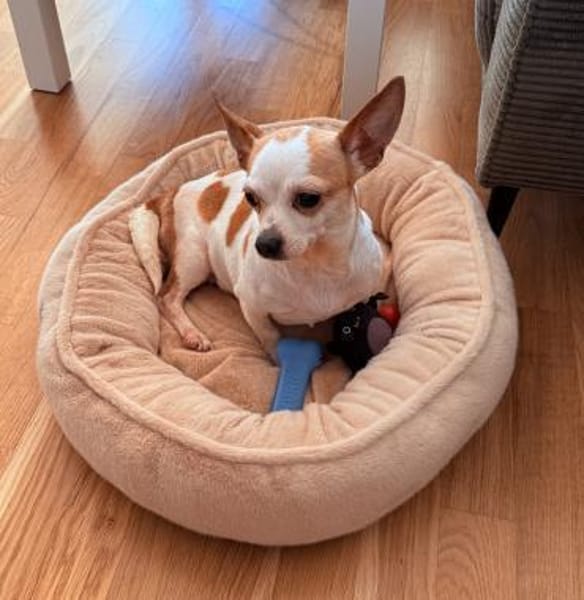 ruhiges Zuhause voller Wärme gesucht