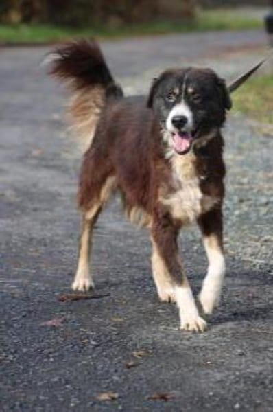 Tayto - zutraulich u. unkompliziert