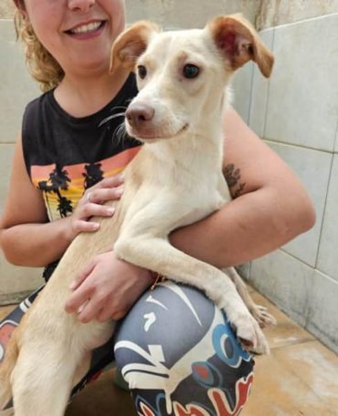 Spicey wer zeigt ihr die große Welt?