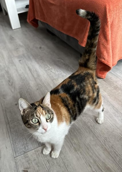 Verschmuste Lily ❤