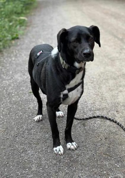 Jobbe auf Pflegestelle in NRW