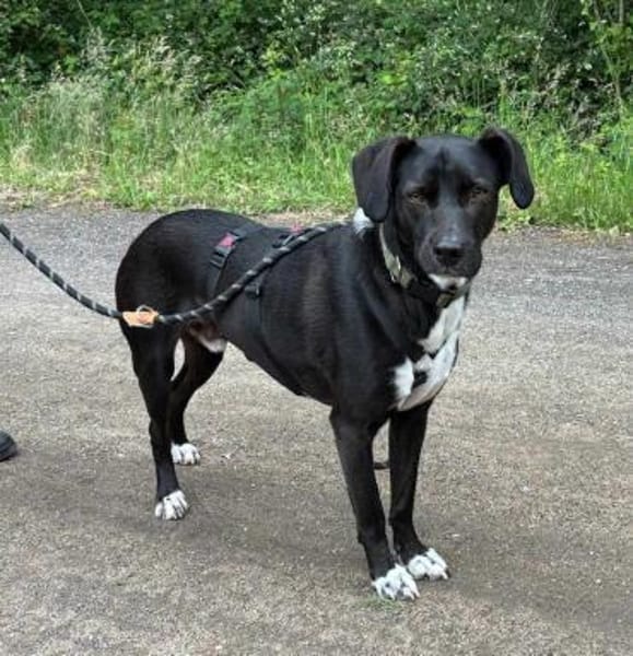 Jobbe auf Pflegestelle in NRW