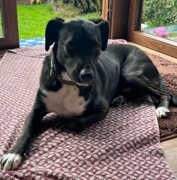 Jobbe auf Pflegestelle in NRW