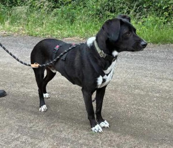 Jobbe auf Pflegestelle in NRW