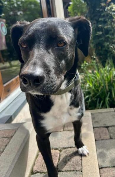 Jobbe auf Pflegestelle in NRW