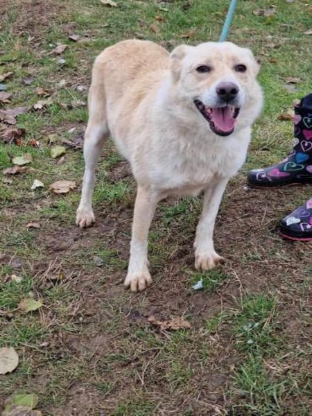 Sensibler Begleiter = HERMES 🆘 NOTFALL