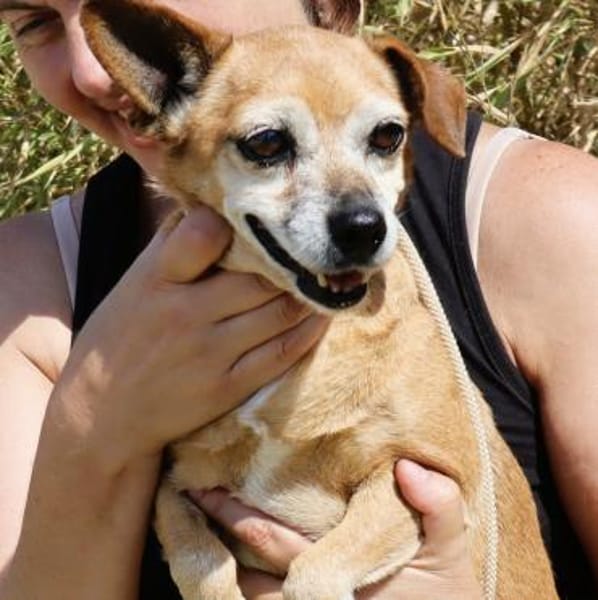 Seniorin Elmi sucht ein Kuschelplätzchen