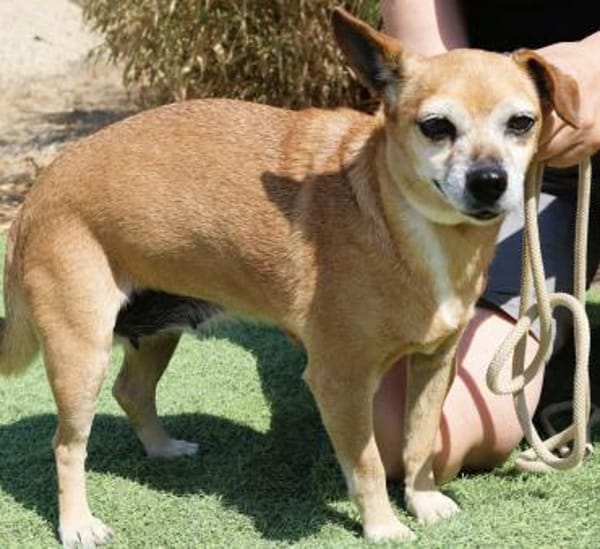 Seniorin Elmi sucht ein Kuschelplätzchen