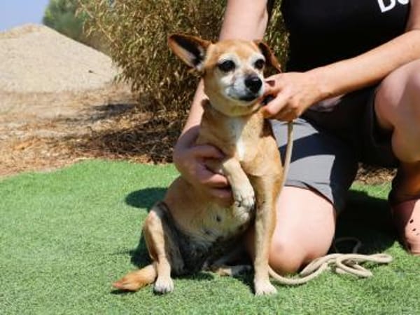 Seniorin Elmi sucht ein Kuschelplätzchen