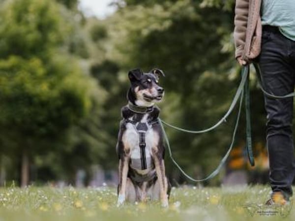 Mina - die hübsche Abenteurerin