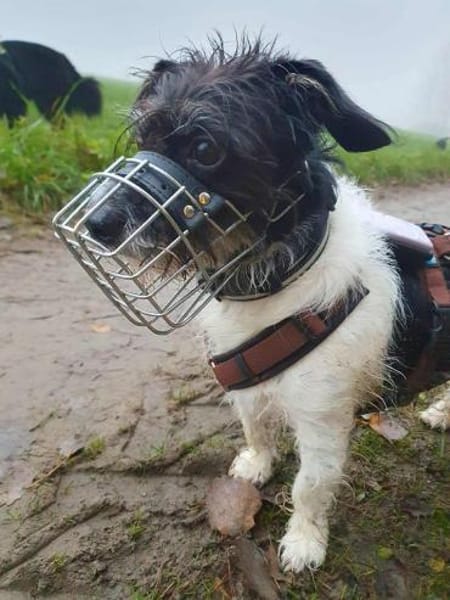 Balco - ist unerfahren