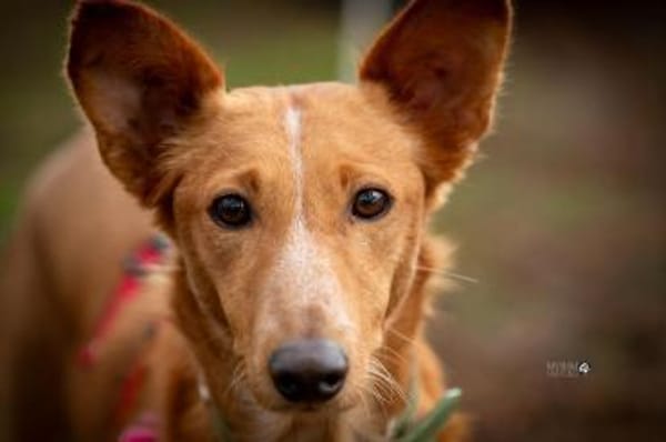 Mario 2 - lieb, sozial und sportlich