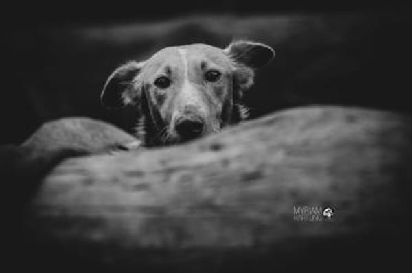 Mario 2 - lieb, sozial und sportlich