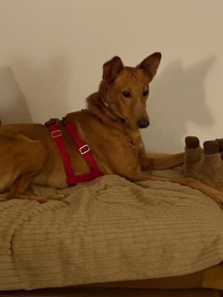 Mario 2 - lieb, sozial und sportlich