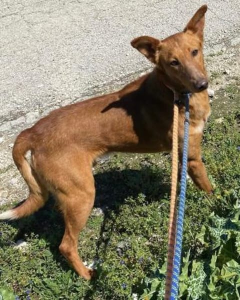 Mario 2 - lieb, sozial und sportlich