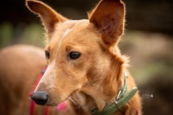 Mario 2 - lieb, sozial und sportlich