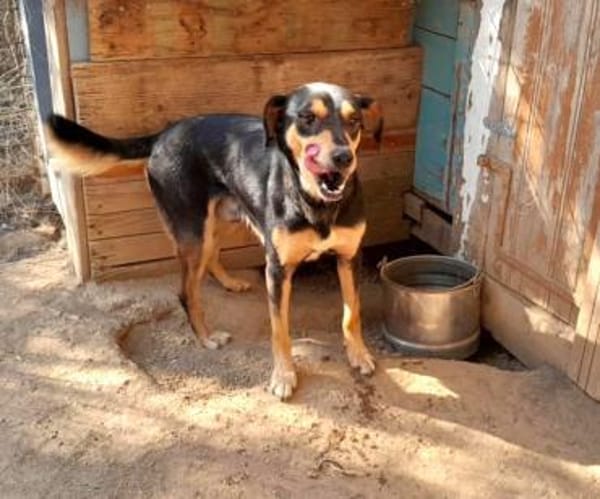 Falco-freundlich und menschenbezogen