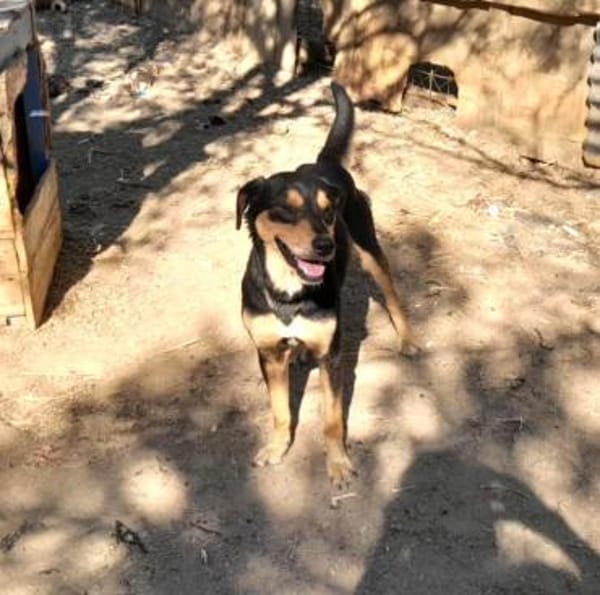 Falco-freundlich und menschenbezogen