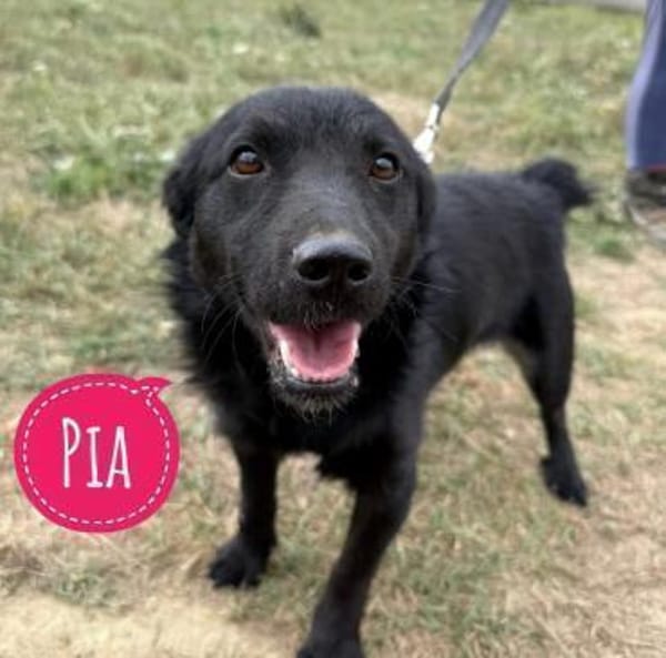 Pia ein absoluter Goldschatz