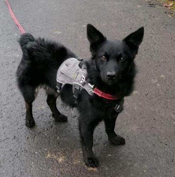 Pia ein absoluter Goldschatz