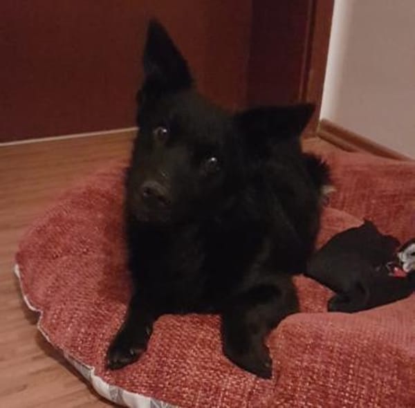 Pia ein absoluter Goldschatz