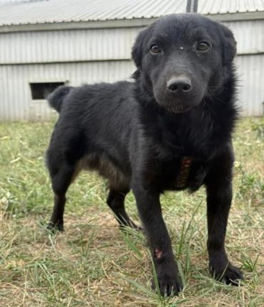 Pia ein absoluter Goldschatz