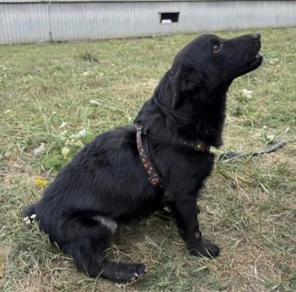 Pia ein absoluter Goldschatz