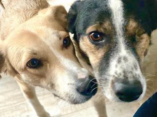 ELISA * liebenswerte Spezialistin