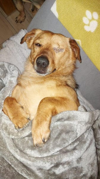 MÄXCHEN * sieht mit dem Herzen