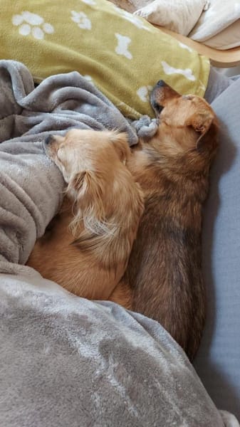 MÄXCHEN * sieht mit dem Herzen