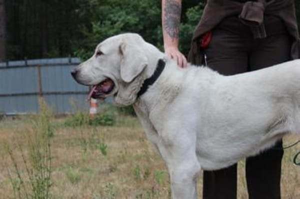 Nona, su. Familie mit Haus/ Hof