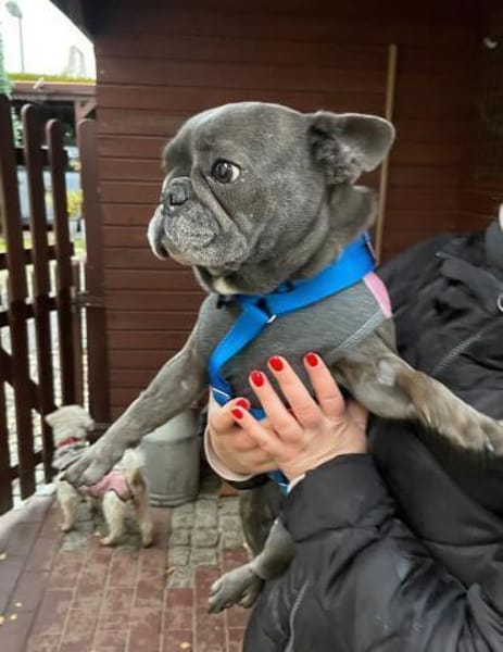 Zuckerschnute sucht ihr Märchen-Zuhause