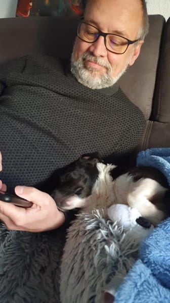 Lissy, verschmuste Mini-Hündin