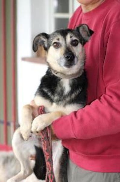 NASRI - liebevolles Zuhause gesucht!