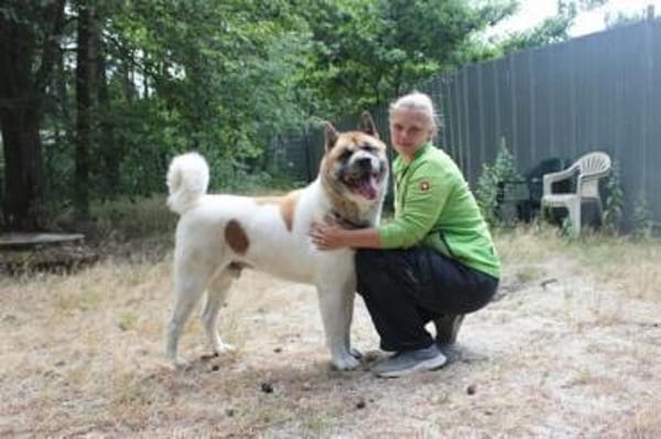 Hatschi, großer Kuschelbär