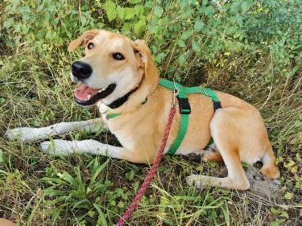 MARRY * sensible Seele sucht Halt