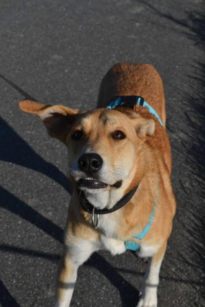 MARRY * sensible Seele sucht Halt