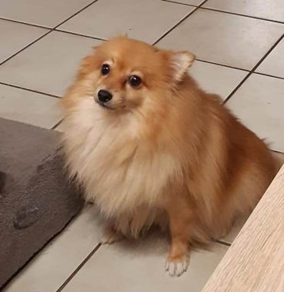 Kessy in 27478 Cuxhaven #