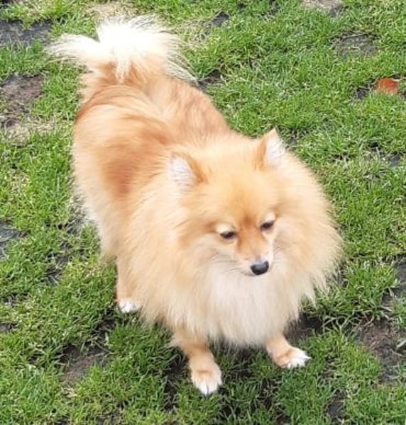 Kessy in 27478 Cuxhaven #