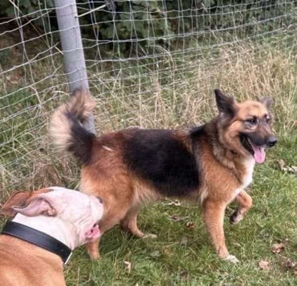 Moni - unsere sanfte Seele