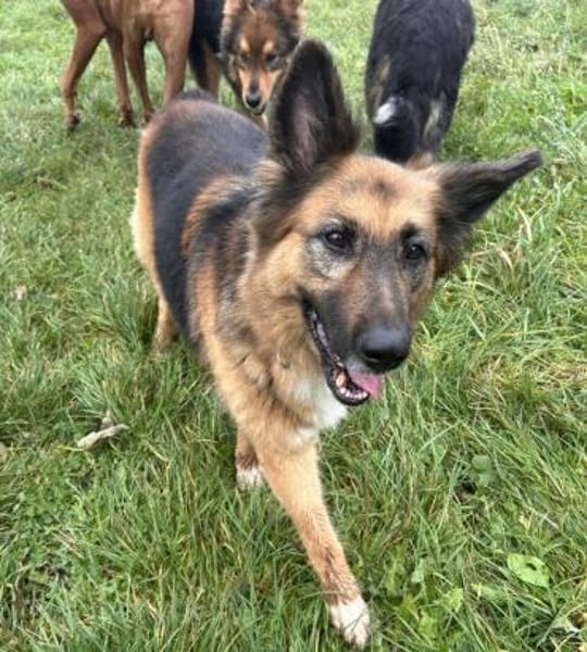 Moni - unsere sanfte Seele