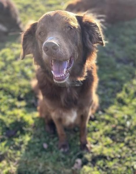 Milow - ich brauche Führung