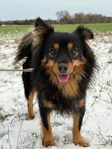 Kuno - mit Charme, Herz und Charakter ❤