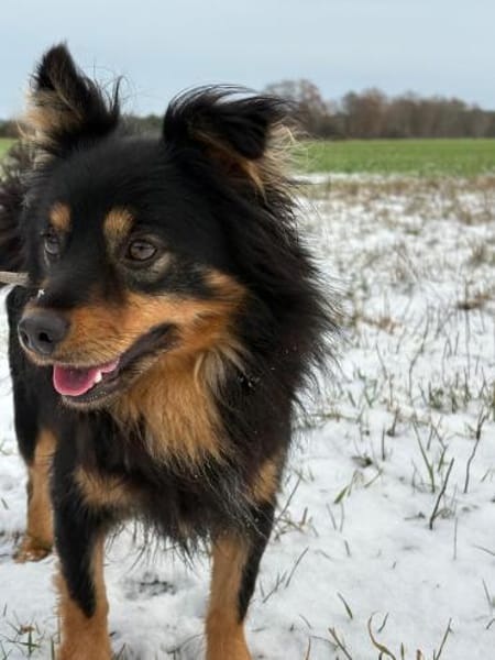 Kuno - mit Charme, Herz und Charakter ❤