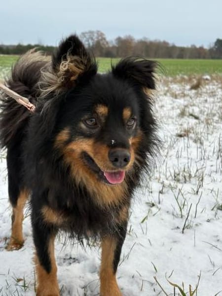 Kuno - mit Charme, Herz und Charakter ❤