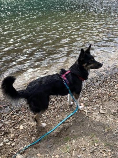 JUBEL * sportliche Gefährtin