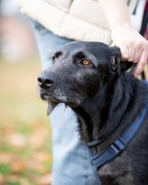 Reina ++sucht dringend++