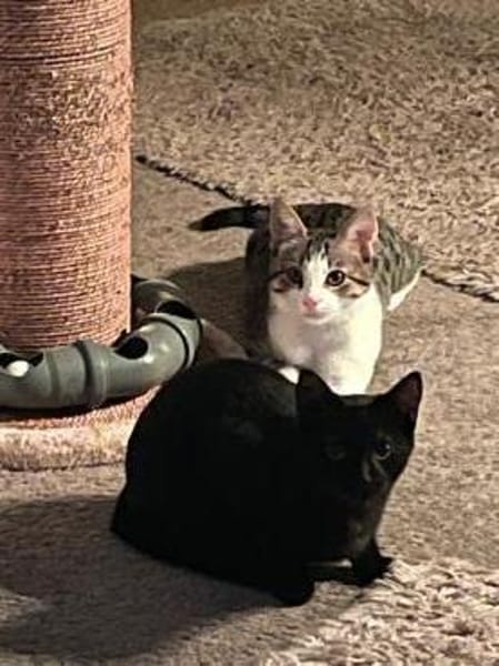 Ungleiches Pärchen Anna & Sepp