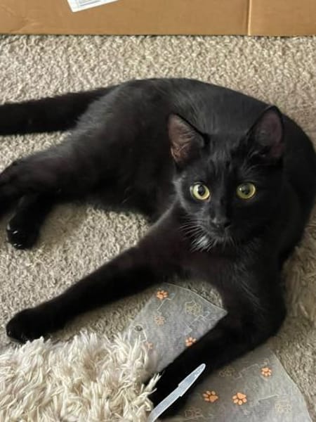 Ungleiches Pärchen Anna & Sepp