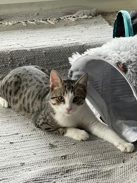 Ungleiches Pärchen Anna & Sepp